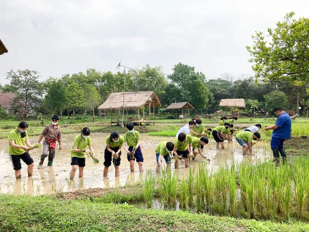 Group outings / กิจกรรมกลุ่มและองค์กร