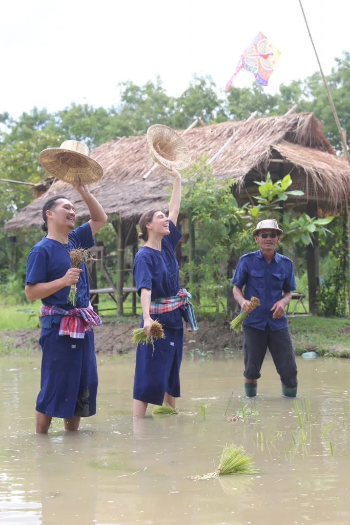 Rice planting & buffalo bathing / ดำนาและอาบน้ำควาย