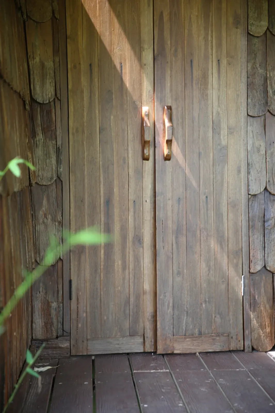 Ha Ni Ba Hoei House / บ้านฮานิบะเฮ้ย