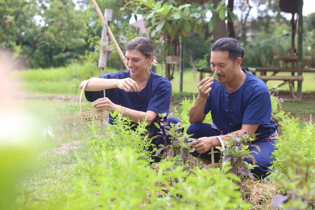 Thai farm cooking class / ทำอาหารที่ฟาร์ม