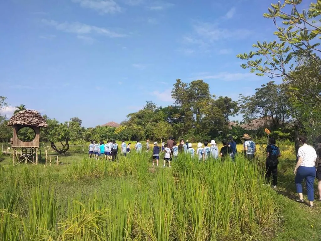 School field trips / ทัศนศึกษาโรงเรียน