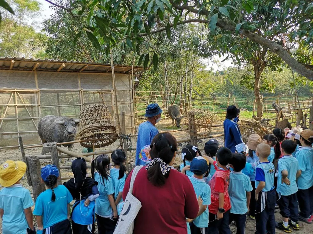 School field trips / ทัศนศึกษาโรงเรียน