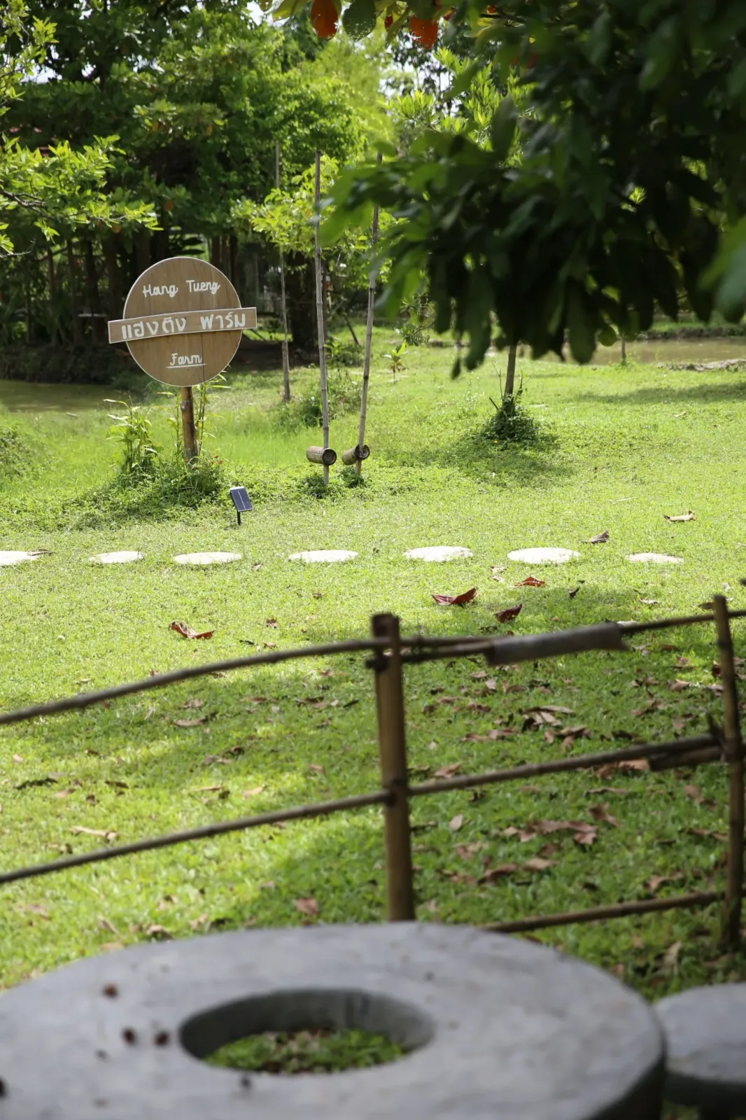 Rice Barn House / บ้านหลวงข้าว