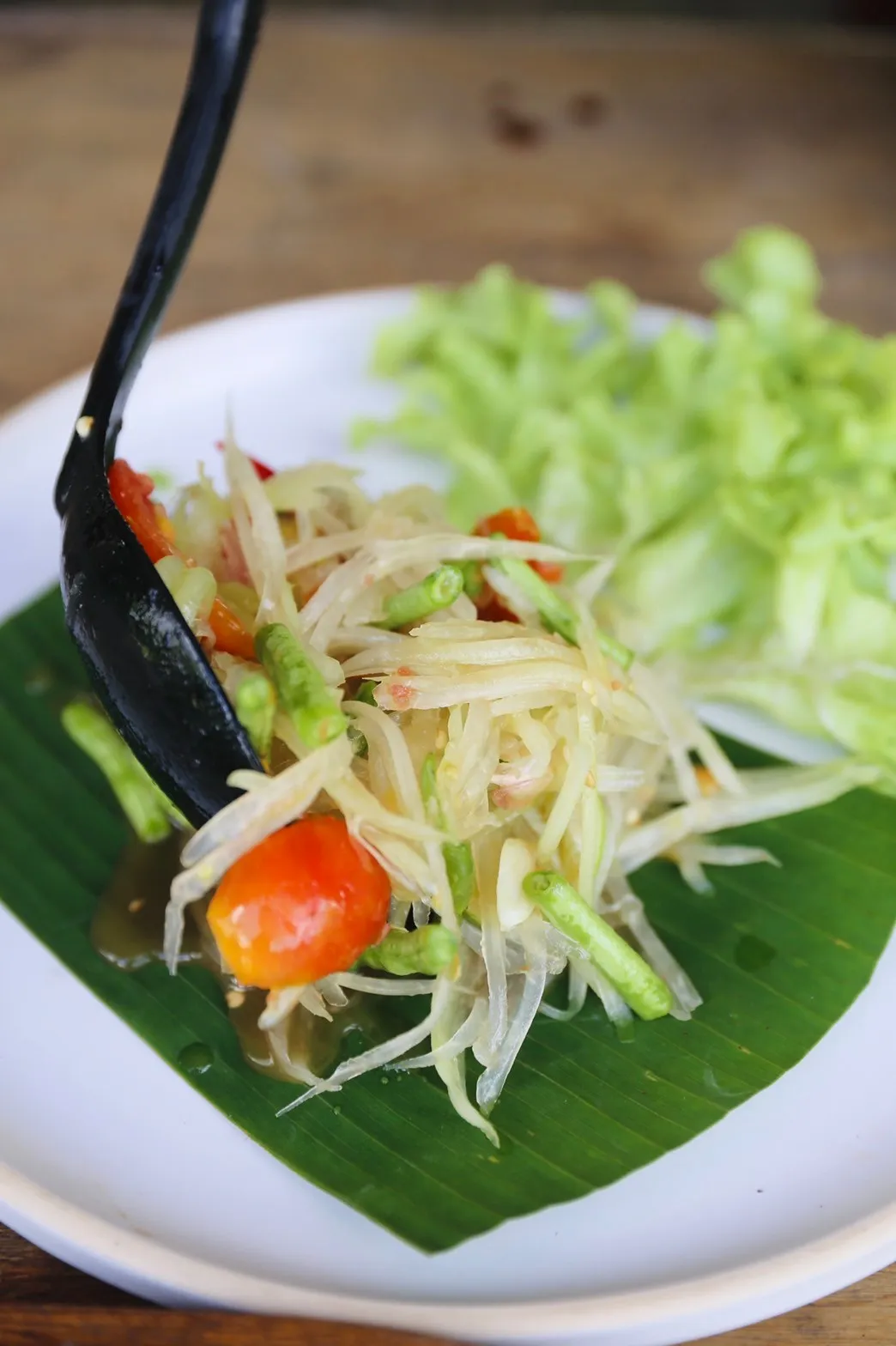 Thai farm cooking class / ทำอาหารที่ฟาร์ม
