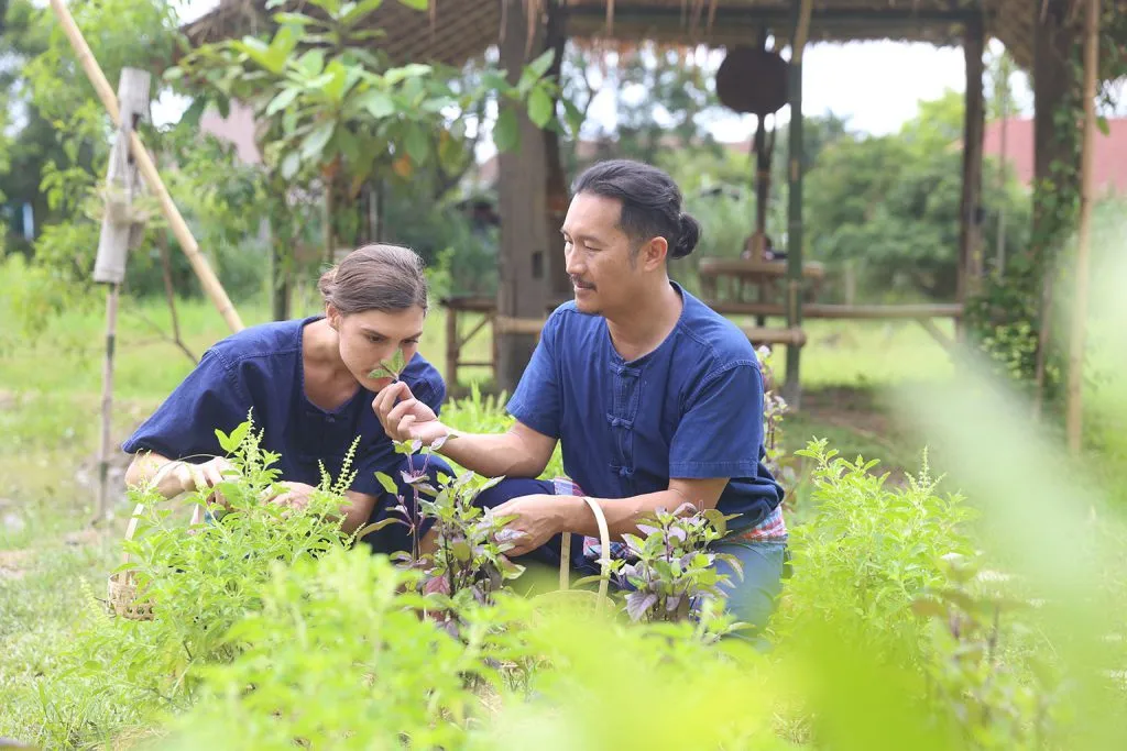 Thai herbs & indigo tie-dye / สมุนไพรและย้อมคราม