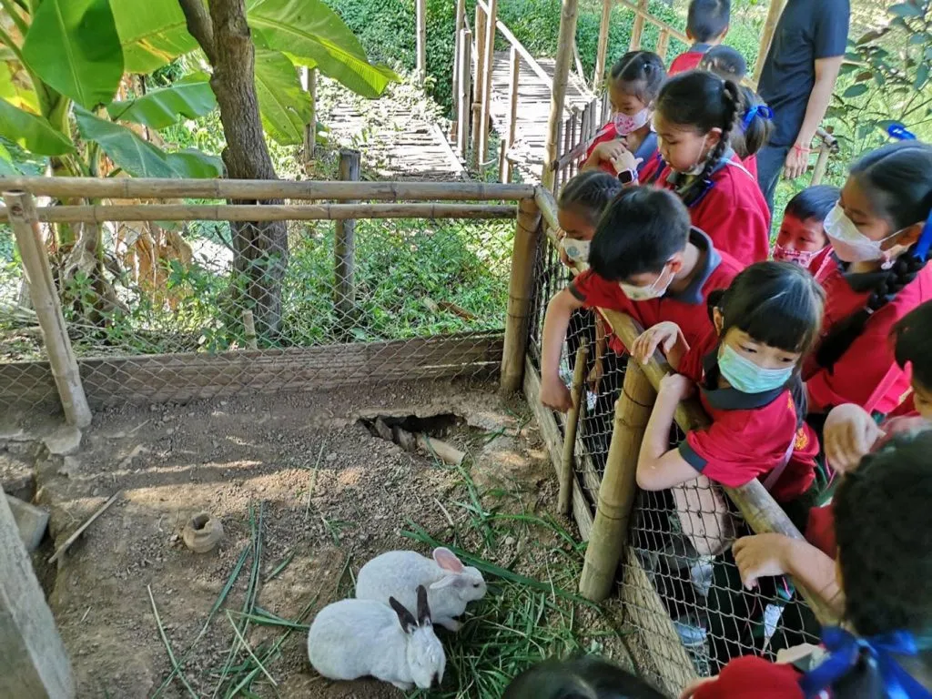 Students collecting fresh eggs at the farm / เด็กนักเรียนกำลังเก็บไข่จากเล้า