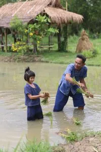 Farm moments 1 / บรรยากาศฟาร์ม 1